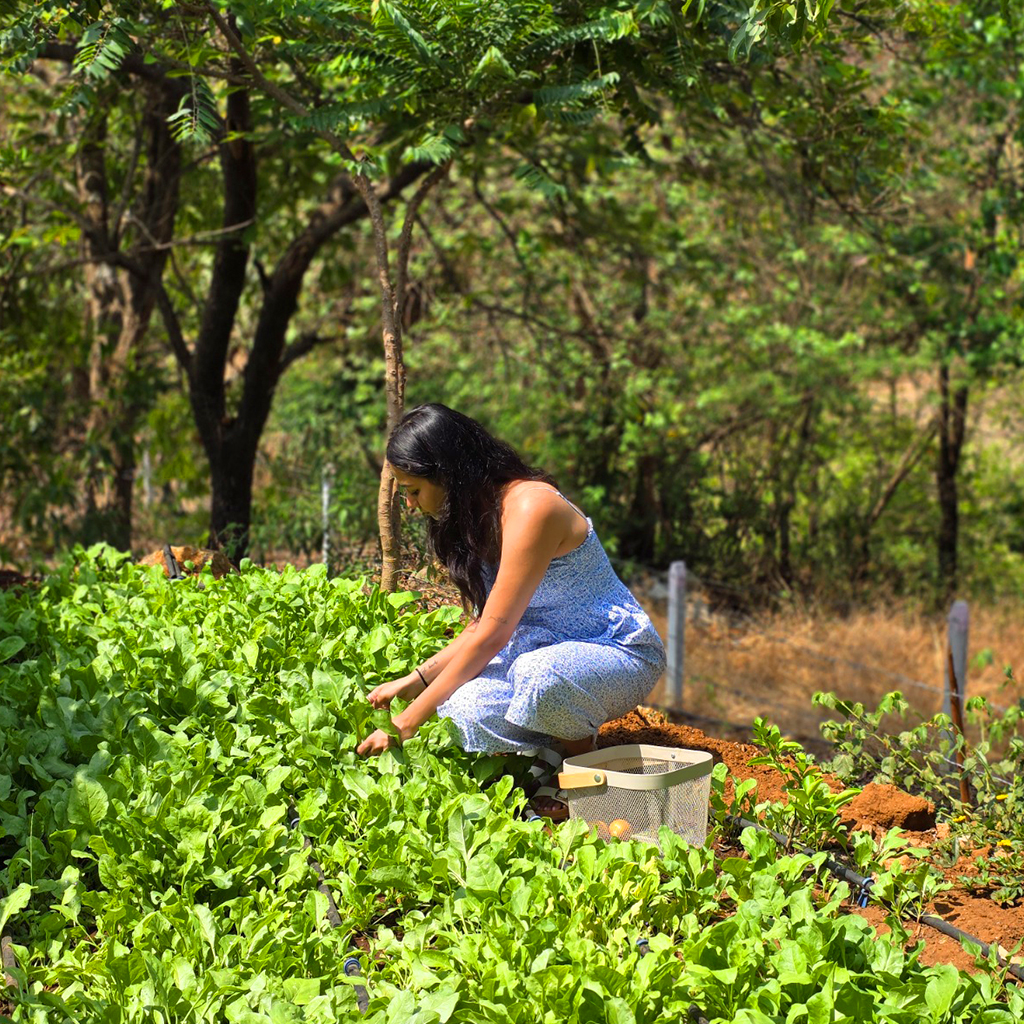 Farm-fresh Dining