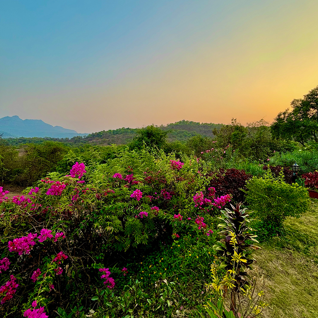 Beautifully Landscaped Greenery