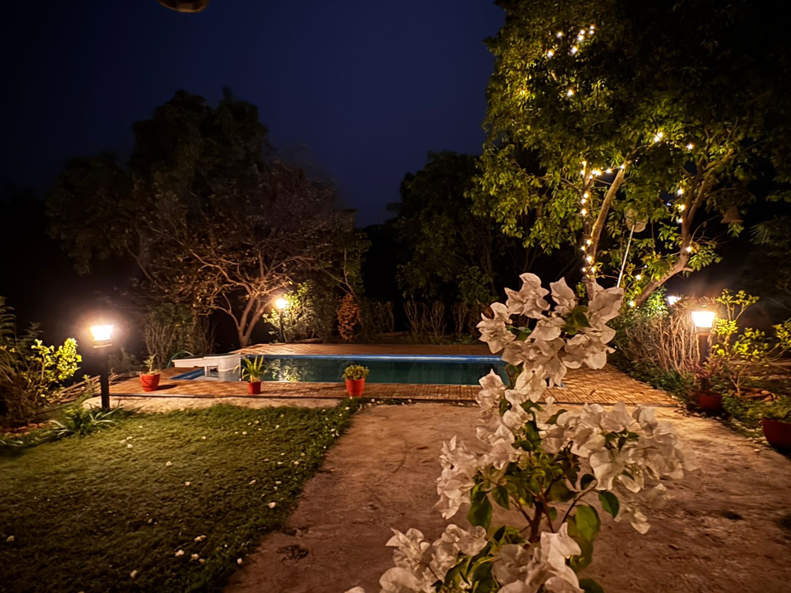Scenic Sunset Lawn