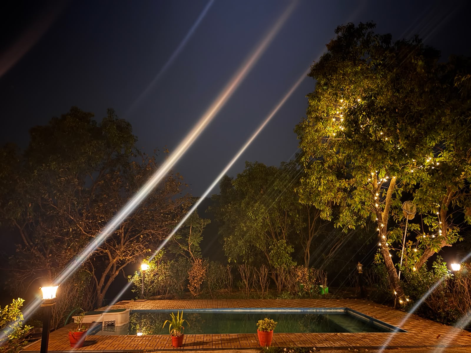 BBQ Evenings